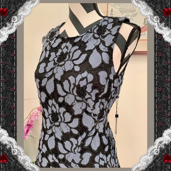 Tommy Hilfiger Lace Overlay Fir & Flare Dress - Picture 9 of 11